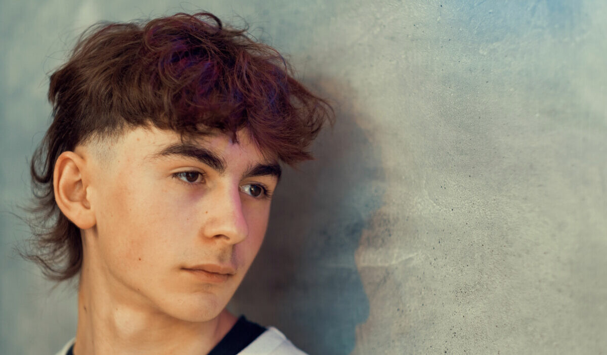 Mullet vyro šukosena