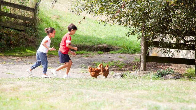 Geriausia, ką galite padovanoti savo vaikui – savaitgalis kaimo sodyboje