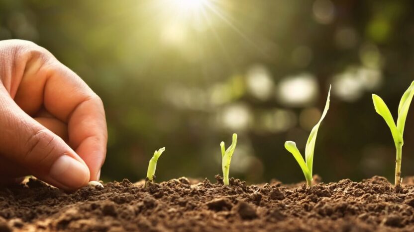 Tvarus daržovių auginimas: kaip sumažinti cheminį poveikį