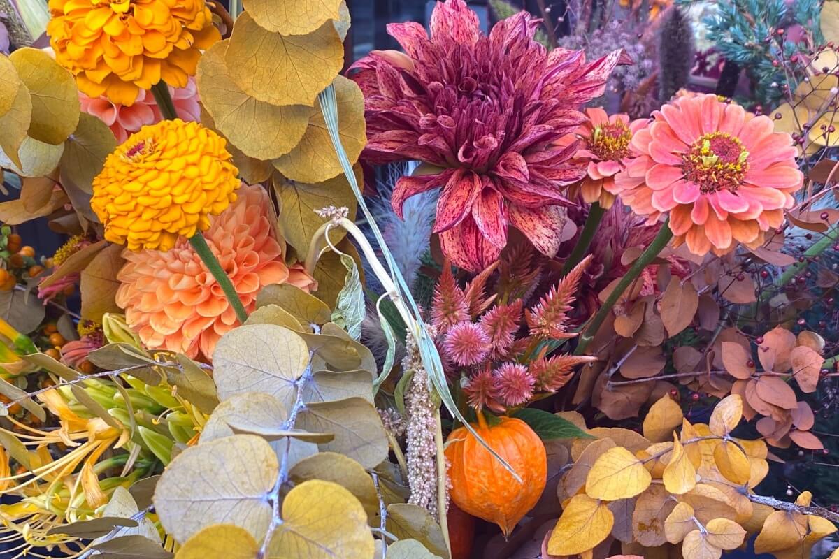 Kodėl šios rudeninės gėlės laikomos tikra kiemo puošmena?