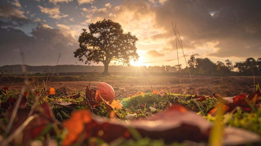 Ar pajusite vidaus pokyčius? Keltų išmintis apie spalio pabaigą