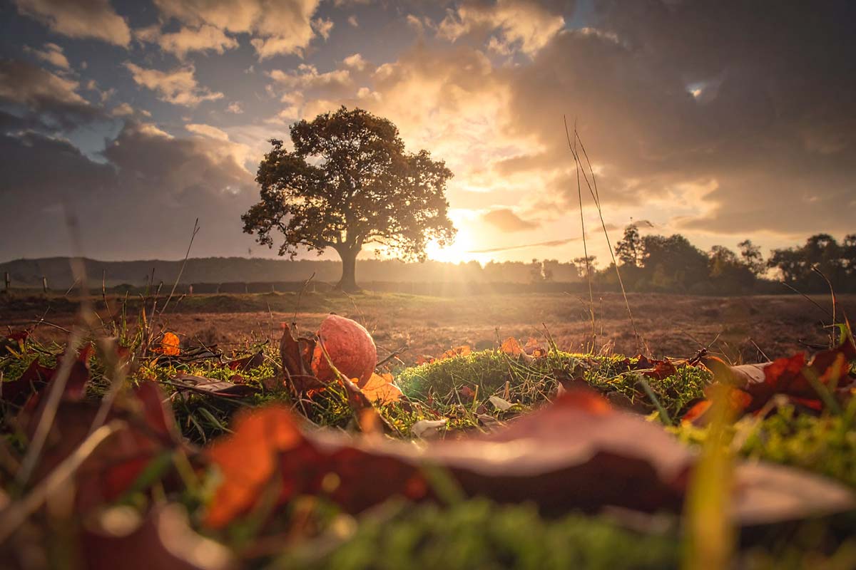 Ar pajusite vidaus pokyčius? Keltų išmintis apie spalio pabaigą