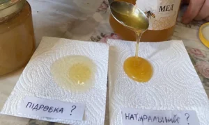 Ar jūsų medus tikras? 4 patikrinimai namuose, kuriais verta pasitikėti, ir tie su degtuku bei jodu, kurie nieko nepasako