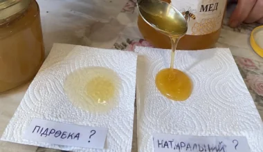 Ar jūsų medus tikras? 4 patikrinimai namuose, kuriais verta pasitikėti, ir tie su degtuku bei jodu, kurie nieko nepasako