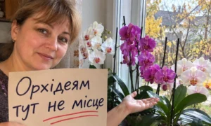 Orchidėja žalia ir sveika, bet nežydi jau metus? Pieno į vazoną nepilkite – kalta dažniausiai palangė, ant kurios ji stovi