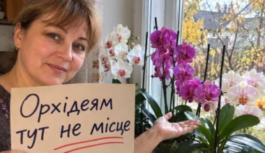 Orchidėja žalia ir sveika, bet nežydi jau metus? Pieno į vazoną nepilkite – kalta dažniausiai palangė, ant kurios ji stovi