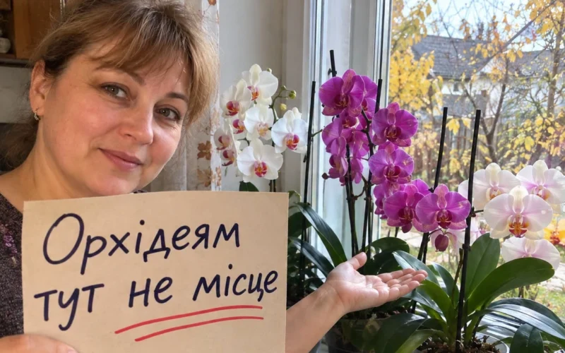 Orchidėja žalia ir sveika, bet nežydi jau metus? Pieno į vazoną nepilkite – kalta dažniausiai palangė, ant kurios ji stovi