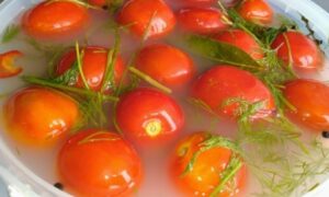 Rauginti pomidorai su garstyčiomis kibire: be stiklainių ir vargo, o skonis – tas pats naminis, kaip senuose rūsiuose