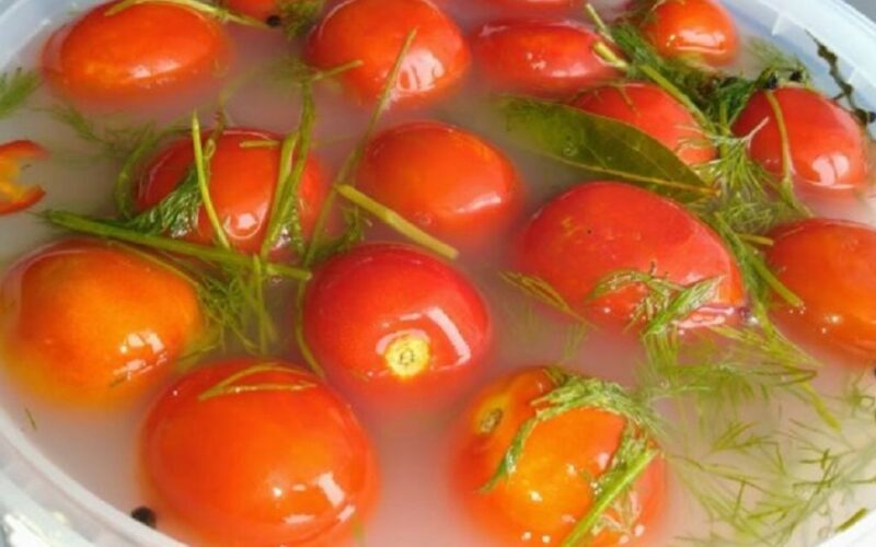 Rauginti pomidorai su garstyčiomis kibire: be stiklainių ir vargo, o skonis – tas pats naminis, kaip senuose rūsiuose